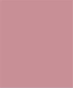 Brilho Labial | Sexy Shining