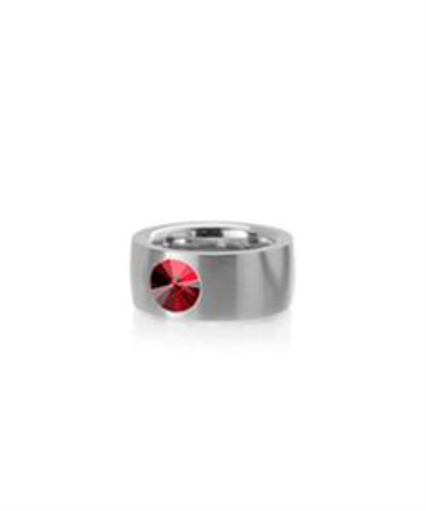 Anel Aço Inox — Cristal Swarovski 8mm (Modelo 2373)