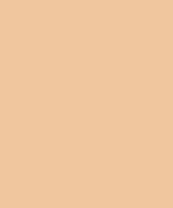 Foundation Cream | Base Compacta Cremosa