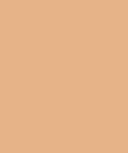 Foundation Cream | Base Compacta Cremosa