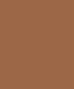 Foundation Cream | Base Compacta Cremosa