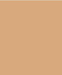 Foundation Cream | Base Compacta Cremosa